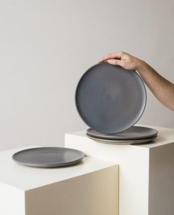 Set de 4 Platos Clásicos 26 Ø